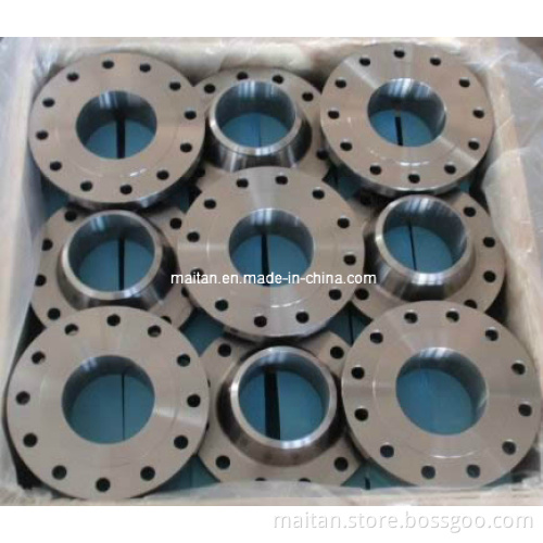 Titanium Flange& Forging Ring Gr. 12